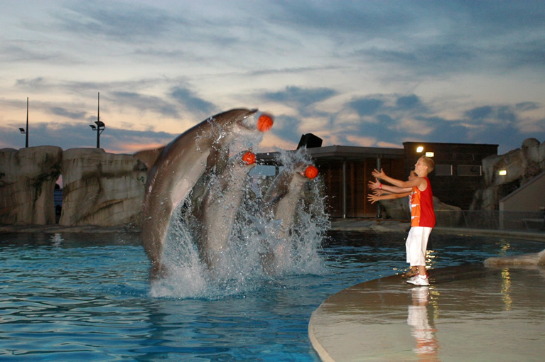 I delfini giocano con un bambino nel parco Oltremare